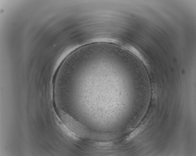 X0000062931140200601181303