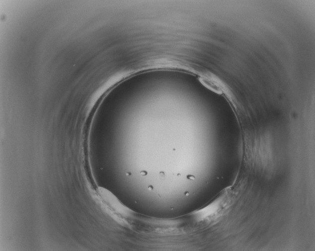 X0000062931142200601181303