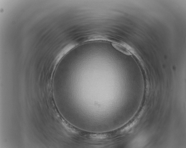 X0000062931145200601181303