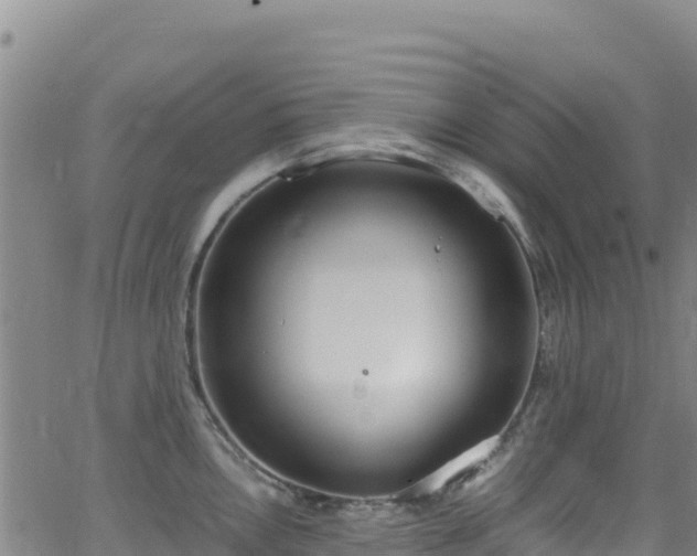 X0000062931146200601181303