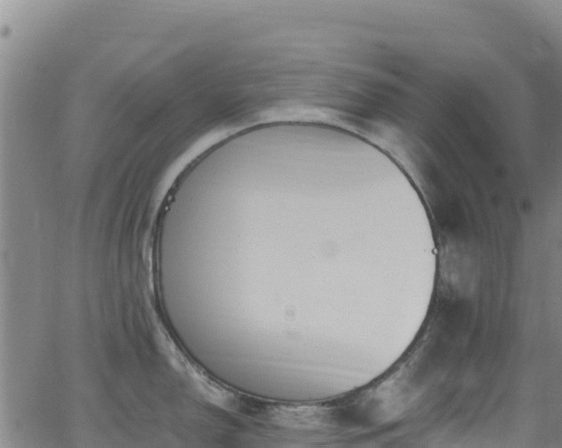 X0000062931150200601181303