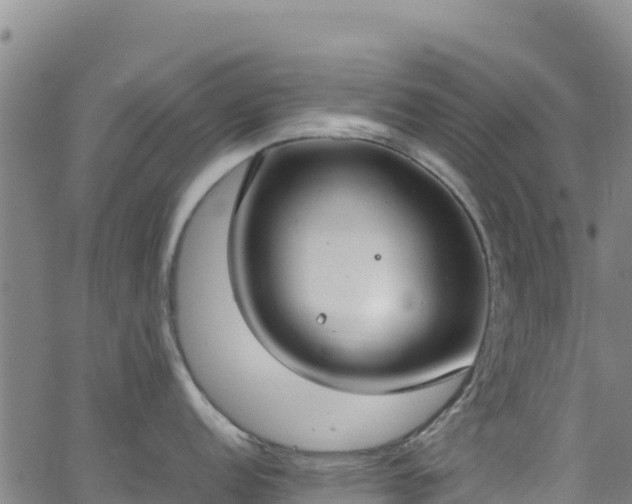 X0000062931152200601181303