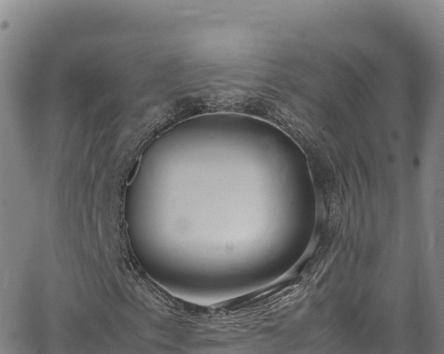 X0000062931153200601181302