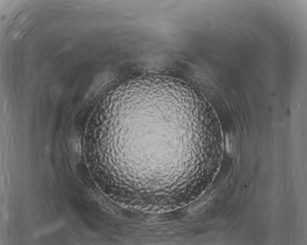 X0000062931155200601181302