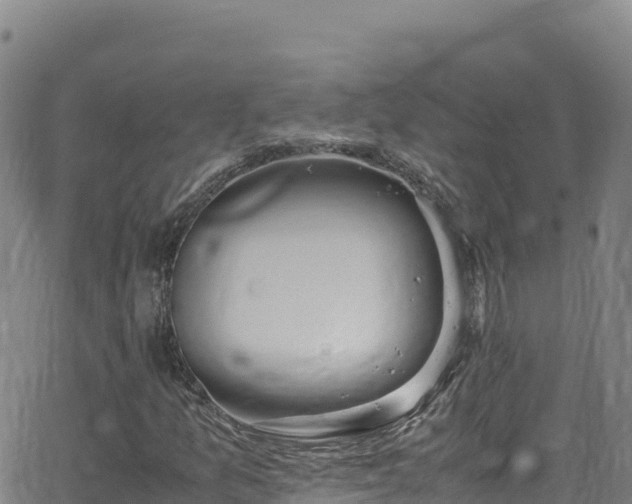 X0000062931157200601181302