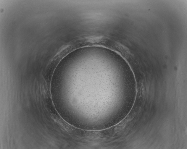 X0000062931158200601181302