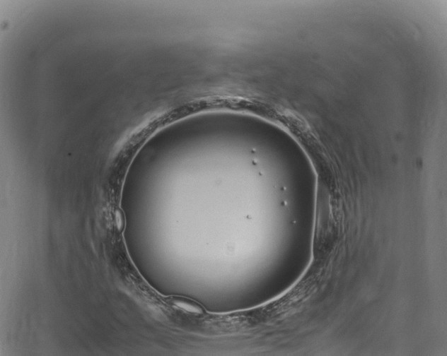 X0000062931159200601181302