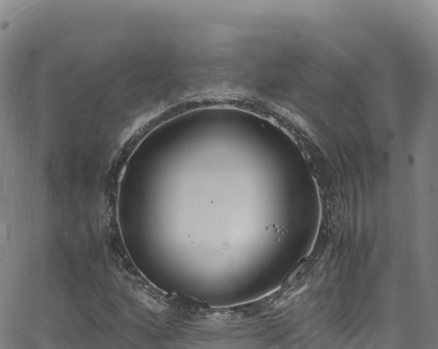 X0000062931160200601181302