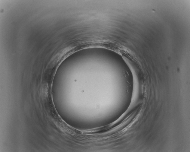 X0000062931161200601181302