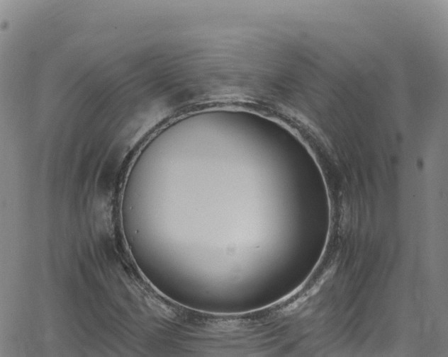 X0000062931162200601181302