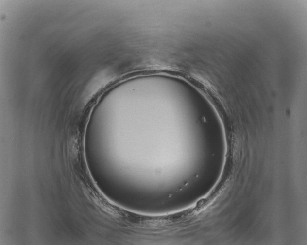 X0000062931163200601181302