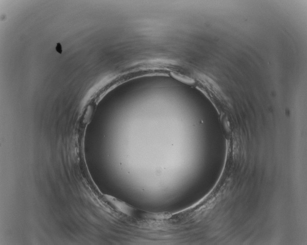 X0000062931164200601181302