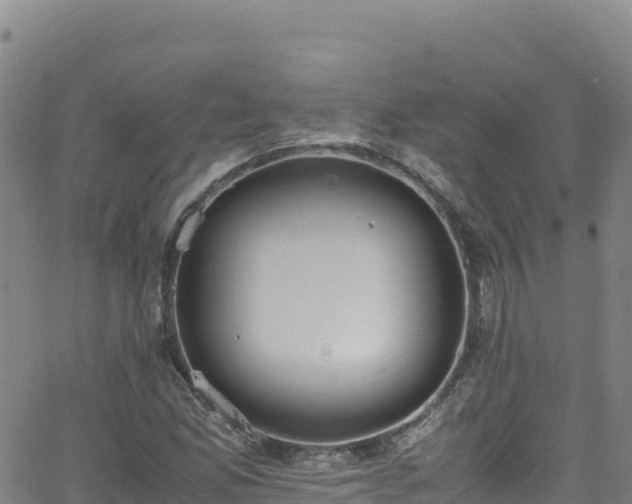 X0000062931165200601181302