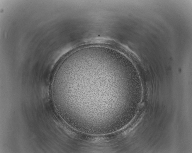 X0000062931166200601181302