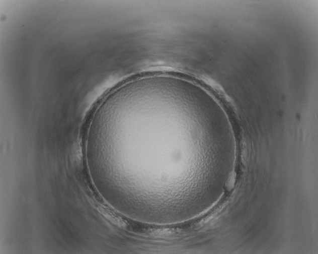 X0000062931167200601181302