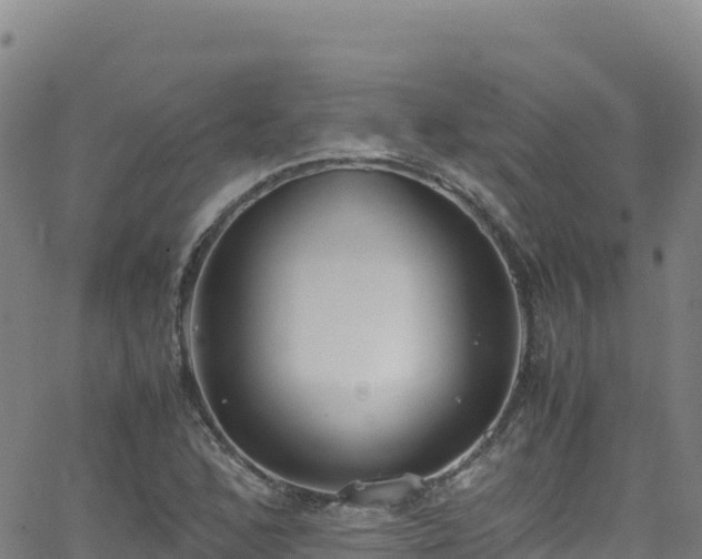 X0000062931168200601181302