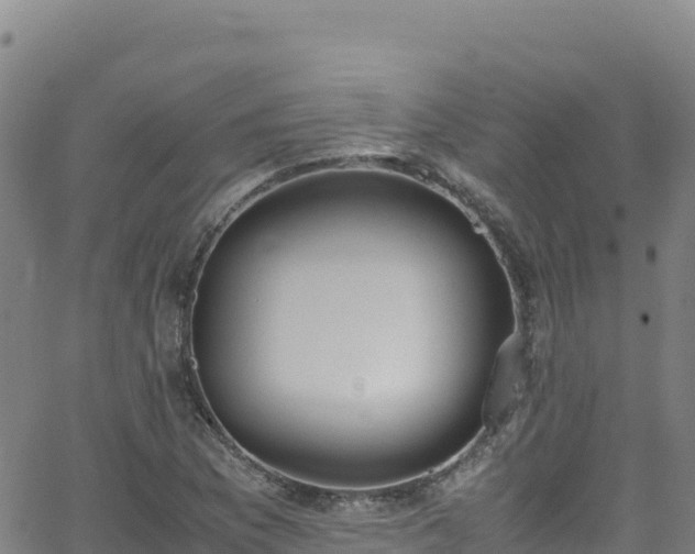 X0000062931169200601181302