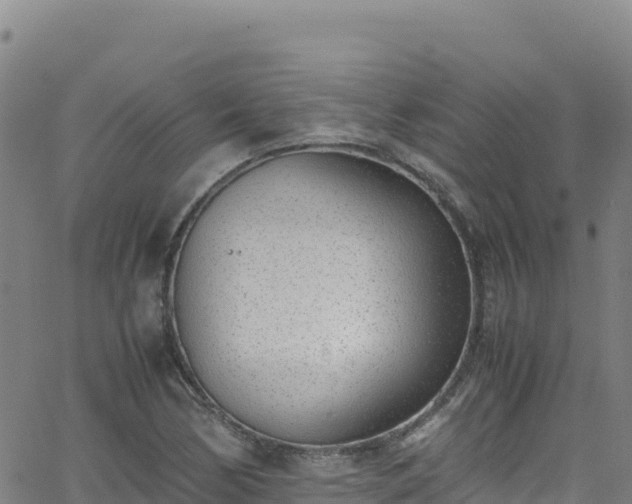 X0000062931170200601181302