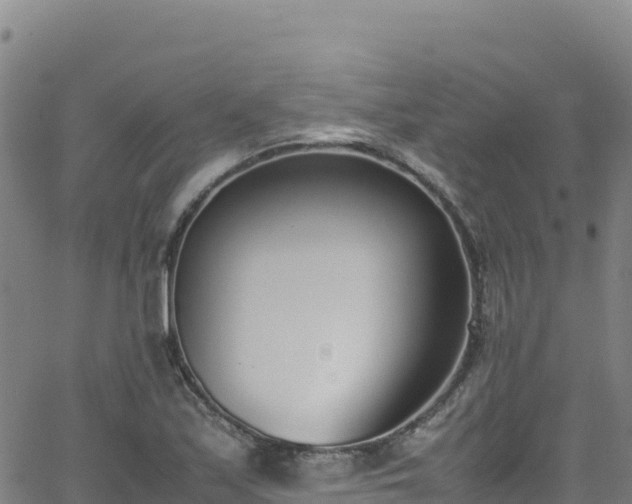 X0000062931171200601181302