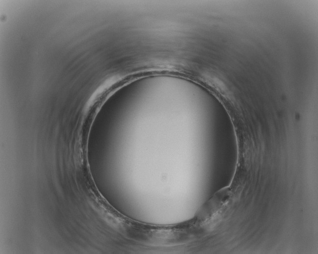 X0000062931172200601181302