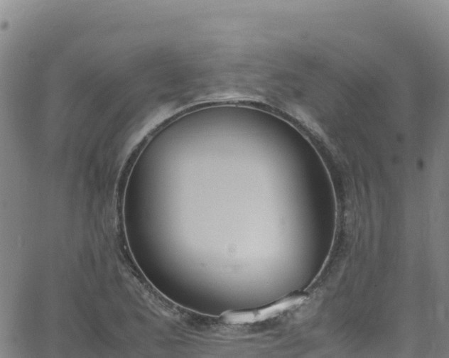 X0000062931173200601181302