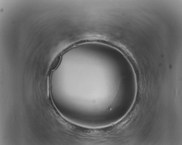 X0000062931175200601181302