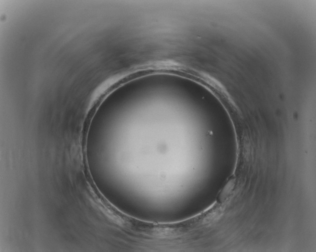 X0000062931176200601181302