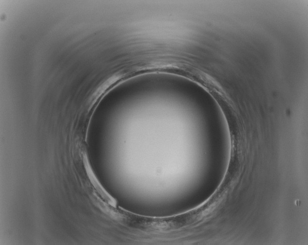 X0000062931177200601181302