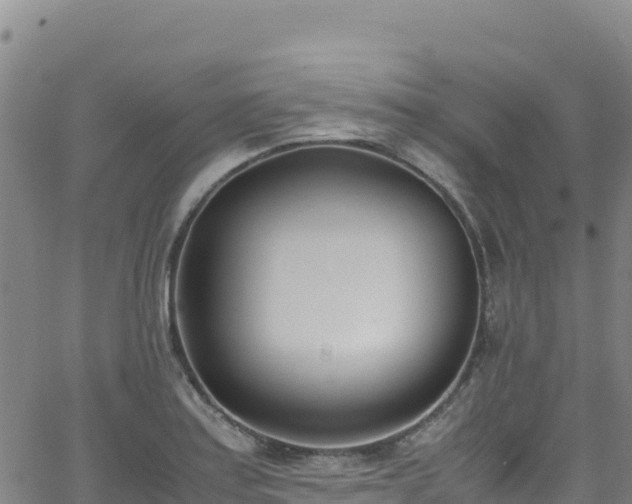 X0000062931179200601181302