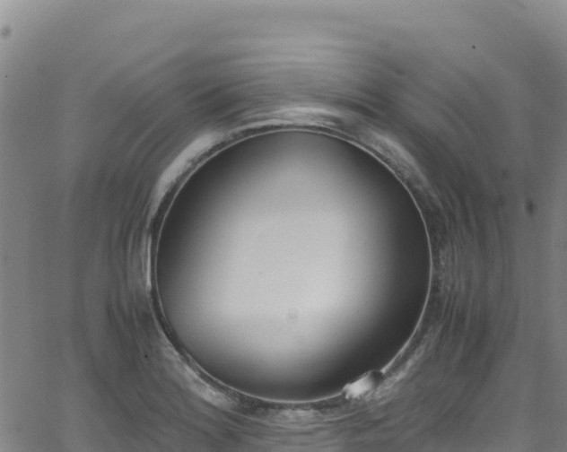 X0000062931180200601181302