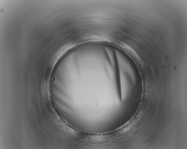 X0000062931182200601181302