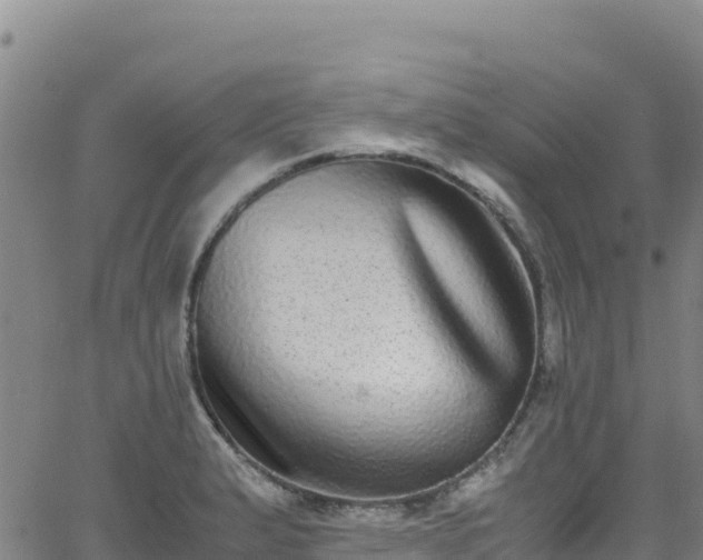 X0000062931183200601181302