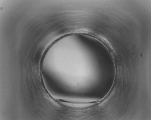 X0000062931184200601181302