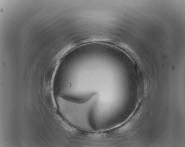 X0000062931185200601181302