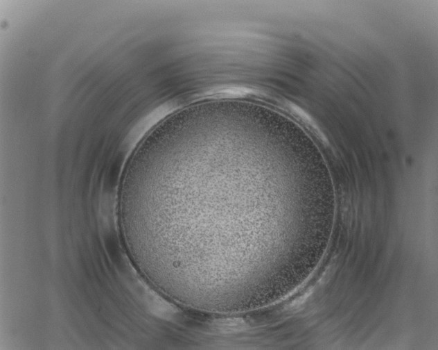 X0000062931186200601181302