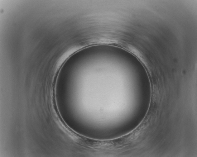 X0000062931187200601181302