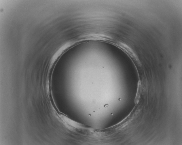 X0000062931188200601181302