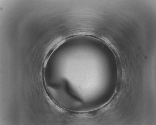 X0000062931189200601181302