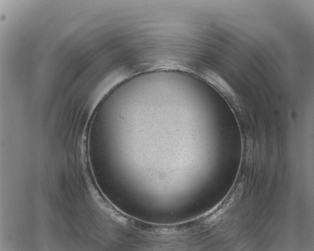 X0000062931190200601181302