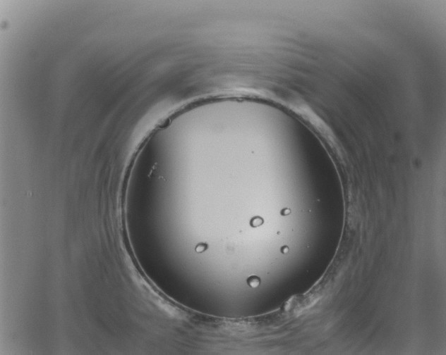 X0000062931191200601181302