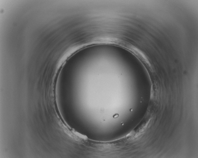 X0000062931192200601181302