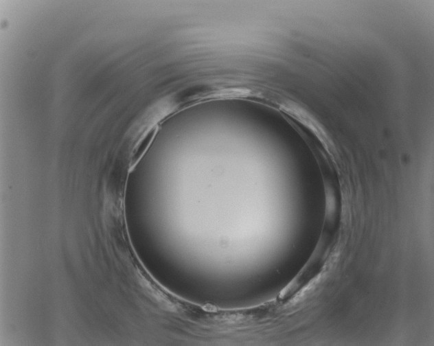 X0000062931193200601181302