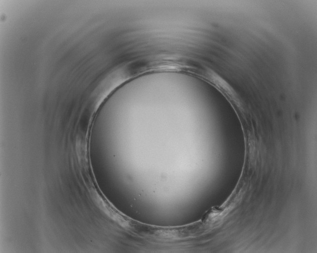 X0000062931194200601181302