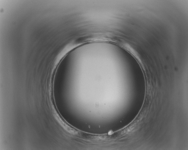 X0000062931195200601181302