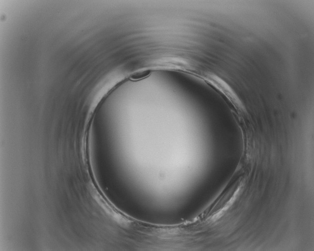 X0000062931196200601181302