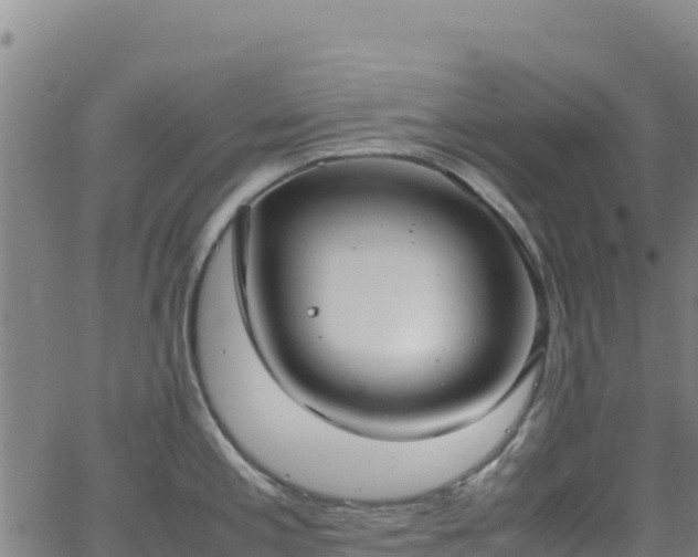 X0000062931197200601181302