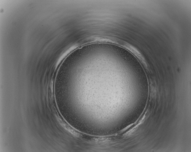 X0000062931198200601181302