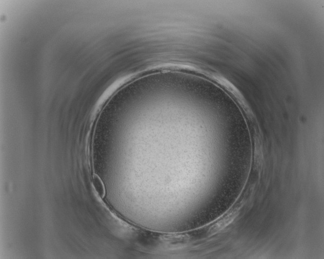 X0000062931199200601181302