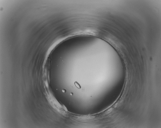 X0000062931200200601181302