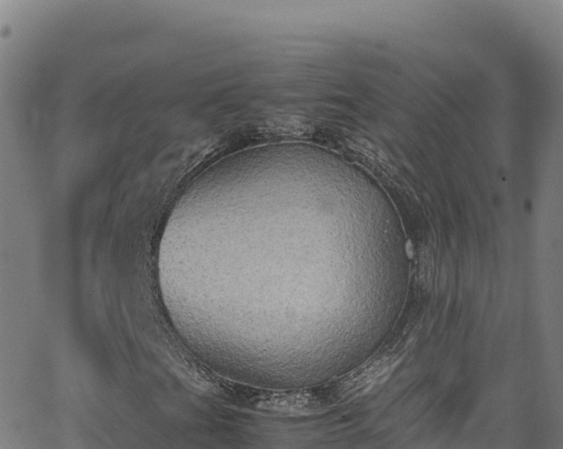 X0000062931201200601181301